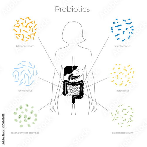 Vector isolated illustration of human microbiota