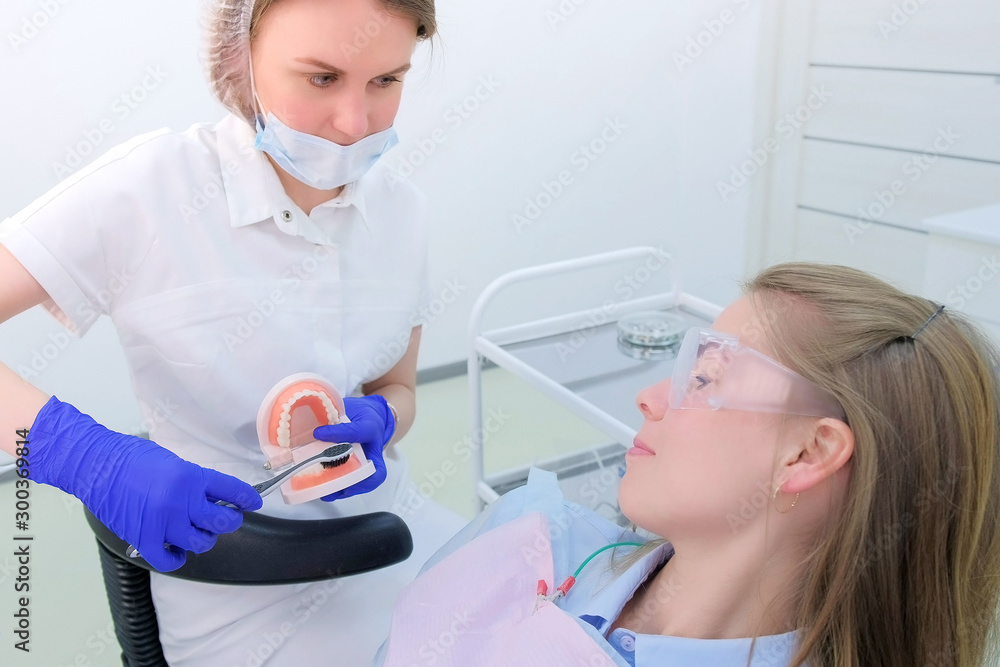 Naklejka premium Dental oral hygiene. Dentist shows patient on jaw model how to clean teeth with toothbrush properly. Dental hygienist teach young woman to brush teeth in stomatology clinic.