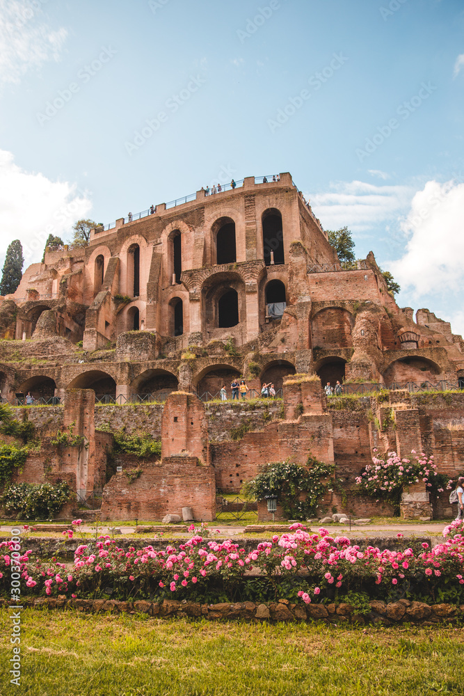 Fototapeta premium Casa delle Vestali view to Palatino Foro Romano