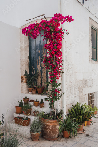 door house with flowers in Puglia italy © Lais