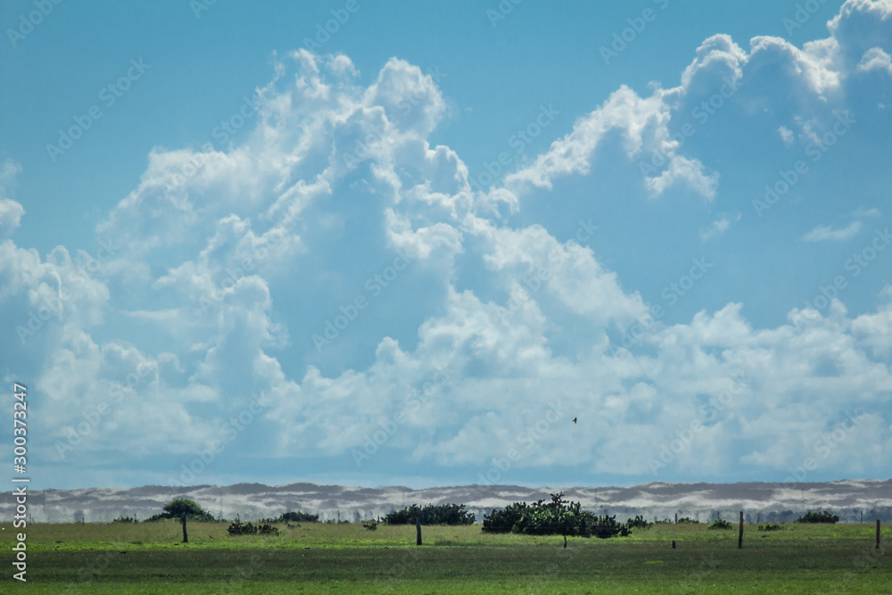 Obraz premium Sunny day with greenery and dunes in the background