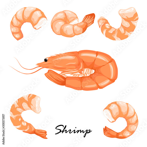 Set boiled shrimp, shrimps without shell, shrimp meat. Shrimp prawn icons set. Boiled Shrimp drawing on a white background.