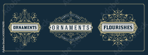 Retro Vintage Logotypes or Insignias set. Vector design elements, business signs, logos, identity, labels, badges and objects.