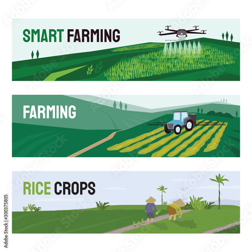 Set of vectors with agriculture, smart farming and rice crops cultivation. Illustrations of irrigation drone, tractor spraying on field, people working in paddy. Template for poster, banner, flyer, ad