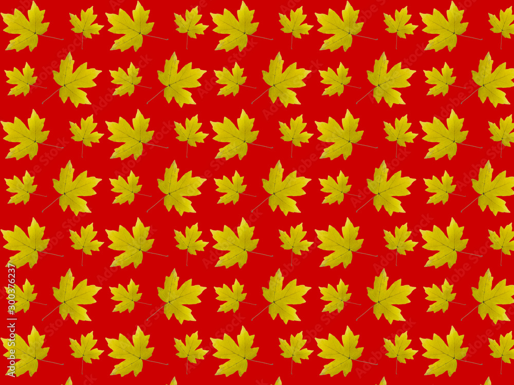 Seamless pattern of yellow maple leaves on a red background. Autumn leaves pattern Seamless pattern of yellow maple leaves on a red background. Autumn leaves pattern