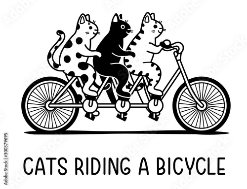 Three Cats Riding A Bicycle, Vector Outline Doodle Cartoon Drawing Of Cooperation And Team Work