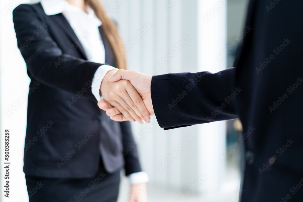 Businessman and businesswoman doing a handshake
