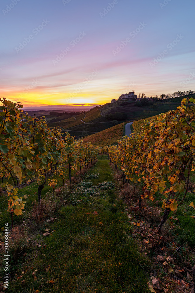Naklejka premium Castle Staufenberg in Durbach Germany in the BlackForest Mountains with a vineyard and an old chapel during sunset at golden hour