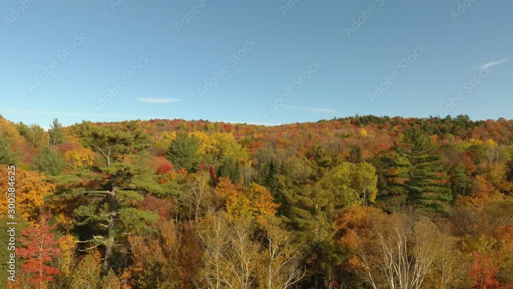 Aerial moving shot of green and orange forest in fall in North America Aerial moving shot of green and orange forest in fall in North America