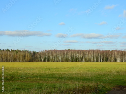Autumn landscape in sunny conditions out in the field