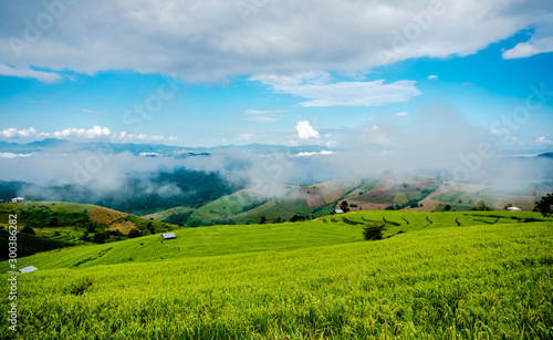 Landscape images of white clouds, blue sky and fog in the morning cover green rice fields and mountain range, that beautiful nature background and travel attractions in Thailand. © Anatta_Tan