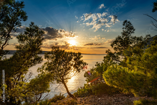 Fototapeta Naklejka Na Ścianę i Meble -  Beautiful sunset over Adriatic sea with pine forest and crepuscular rays of sun in Dalmatia, Croatia