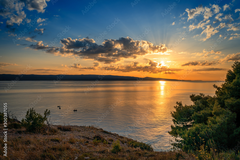 Beautiful sunset over Adriatic sea with pines and crepuscular rays of sun in Dalmatia, Croatia
