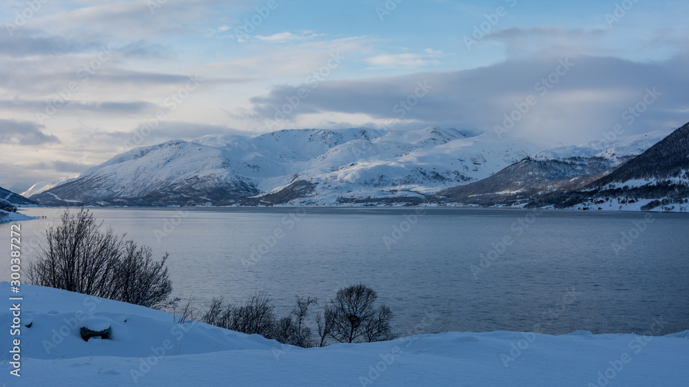 Snowy mountains on the shore of the sea  in northern Norway in winter with leafless trees in the foreground