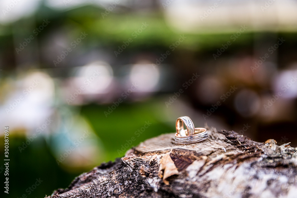 Ringe von einem Brautpaar zur Hochzeit Ringe von einem Brautpaar zur Hochzeit