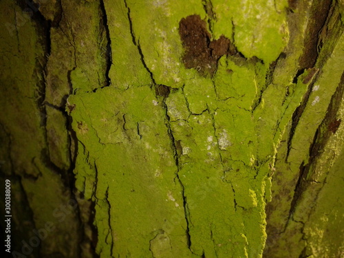 green background