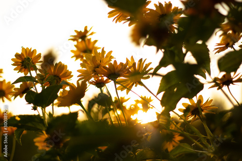 nature