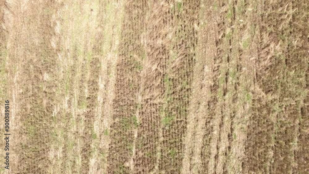 Overhead aerial, agriculture field in Colorado Overhead aerial, agriculture field in Colorado
