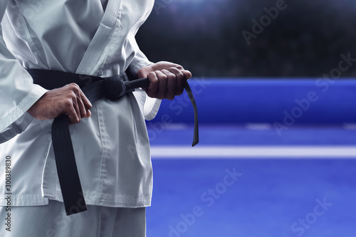 Karate martial arts fighter in arena photo