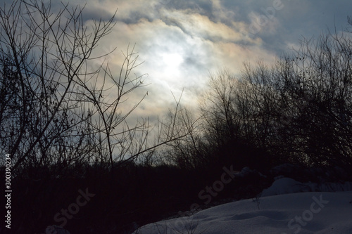 gloomy weather on a winter day in nature