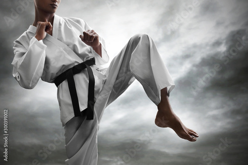 Karate martial arts fighter training