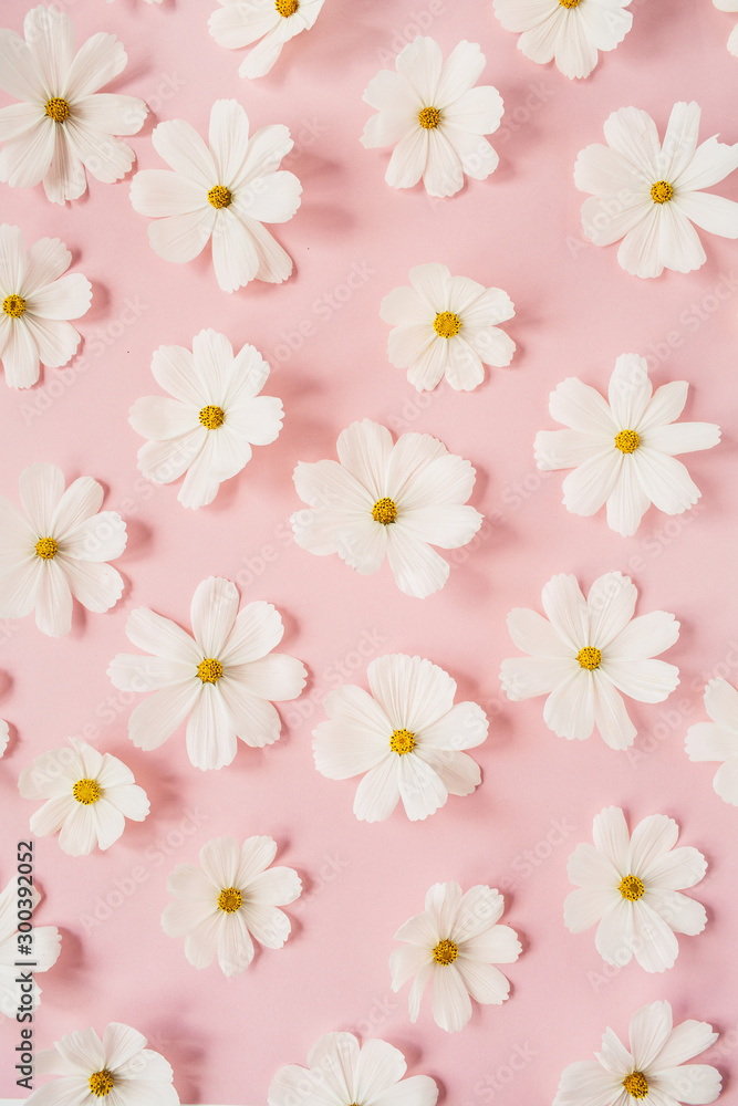A beautiful pattern with white chamomile, daisies flowers on pale pink background. Floral texture or print. Holiday, wedding, birthday, anniversary concept. Flat lay, top view. A beautiful pattern with white chamomile, daisies flowers on pale pink background. Floral texture or print. Holiday, wedding, birthday, anniversary concept. Flat lay, top view.