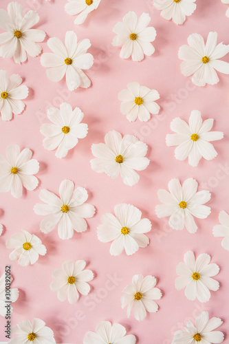 A beautiful pattern with white chamomile, daisies flowers on pale pink background. Floral texture or print. Holiday, wedding, birthday, anniversary concept.  Flat lay, top view. © Floral Deco
