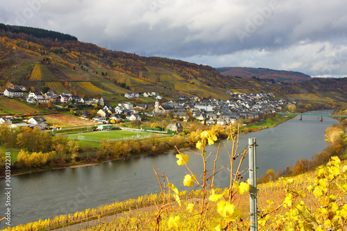 Weinort Reil an der Mosel im Herbst photo