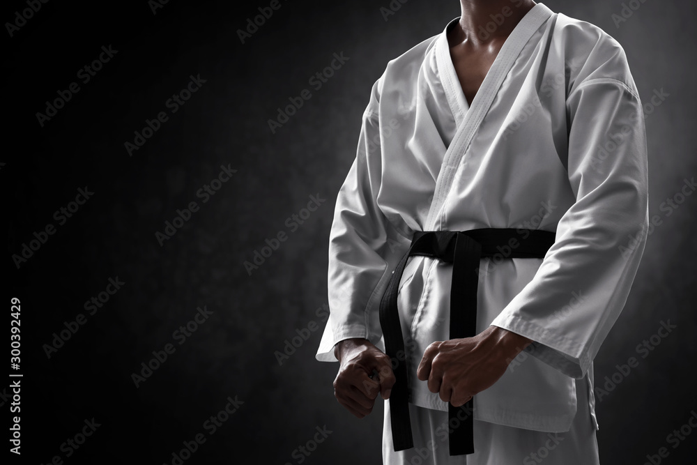 Karate martial arts fighter on dark background Stock Photo | Adobe Stock