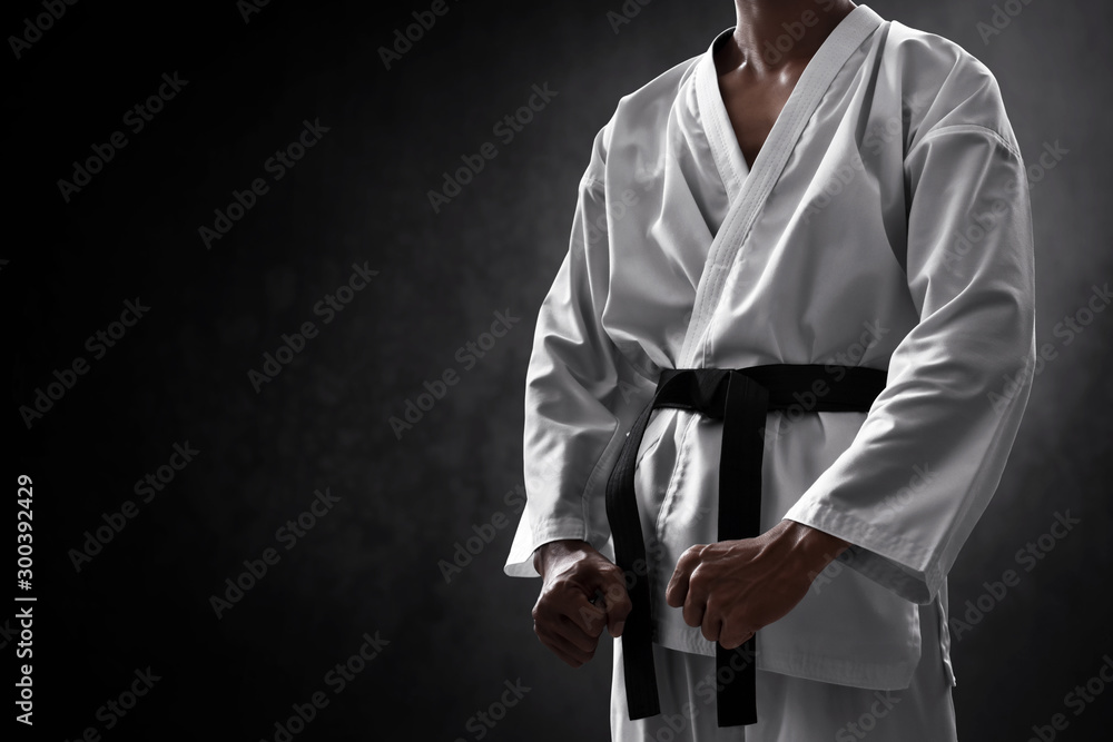 Chào mừng bạn đến với thế giới của võ thuật karate, nơi mà sự nhanh nhẹn, uy lực và chiến đấu phản xạ được kết hợp để tạo ra một võ sĩ karate vô địch. Hình ảnh liên quan sẽ khiến bạn phải trầm trồ và xem vài lần để thưởng thức đến cùng.