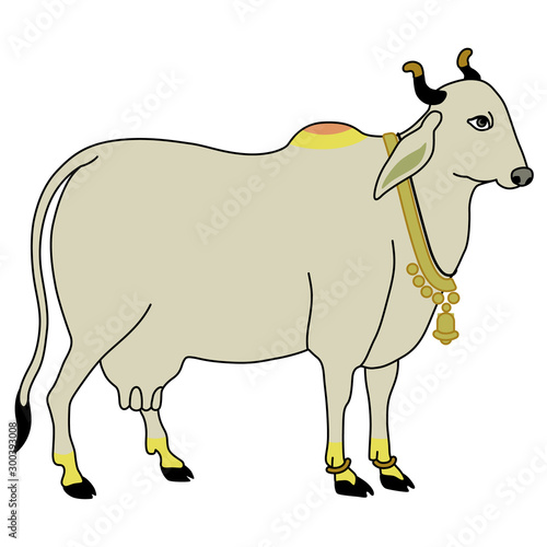 Sacred Indian Hindu cow. isolated vector illustration.
