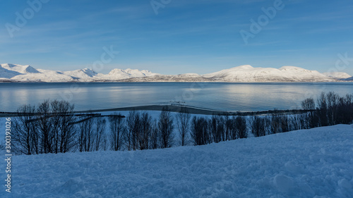 Snowy mountains behind the sea in northern Norway in winter with trees and piles of snow in the foreground