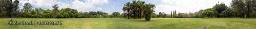 Panorama do Parque em um Lindo dia de Sol, árvores, Céu Azul, Grama verde