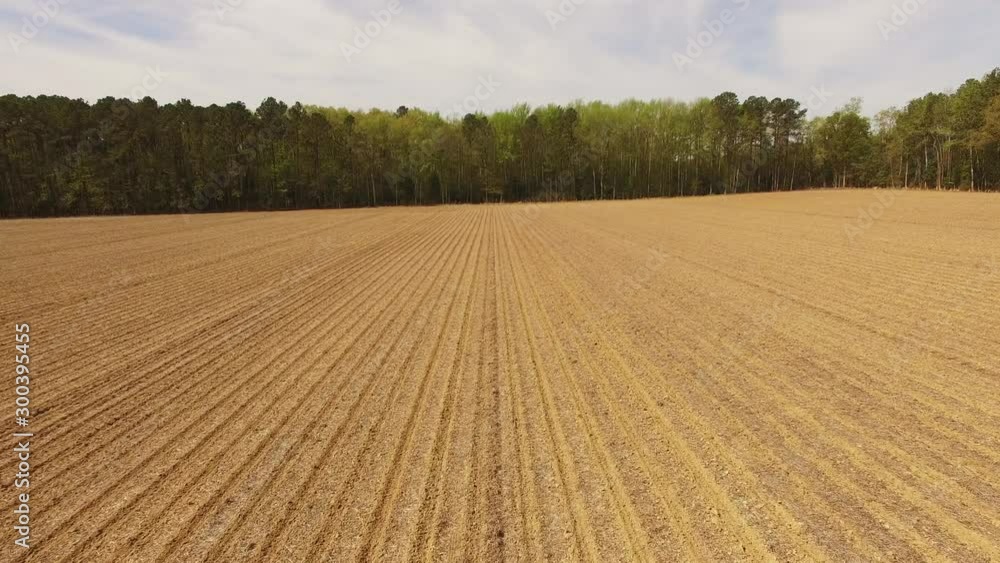 Golden field in Virginia, aerial Golden field in Virginia, aerial