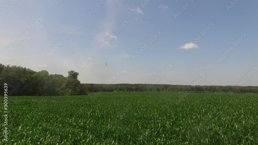 Crop duster flies over Georgia field, aerial Crop duster flies over Georgia field, aerial