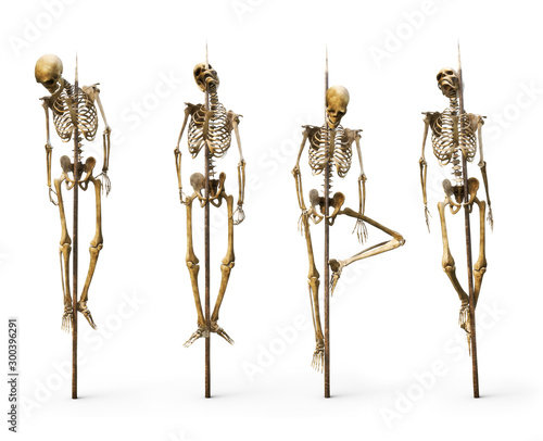Group of skeleton's impaled on spiked sticks on a isolated white background. 3d rendering photo