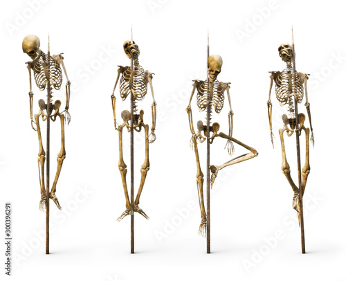 Group of skeleton's impaled on spiked sticks on a isolated white background. 3d rendering