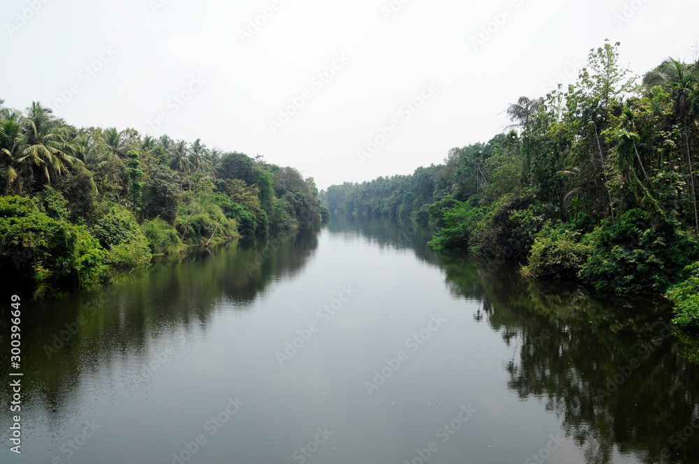 Iruvazhinji river in kodiyathur panchayath, kozhikode district