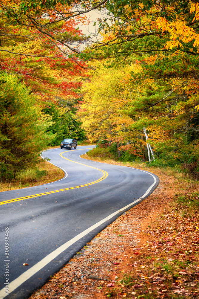 Fototapeta premium Winding road through beautiful autumn foliage trees in New England