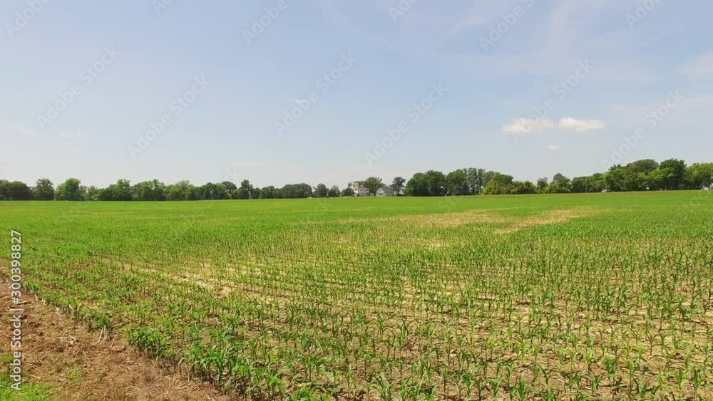 Aerial, corn field in Virginia Aerial, corn field in Virginia