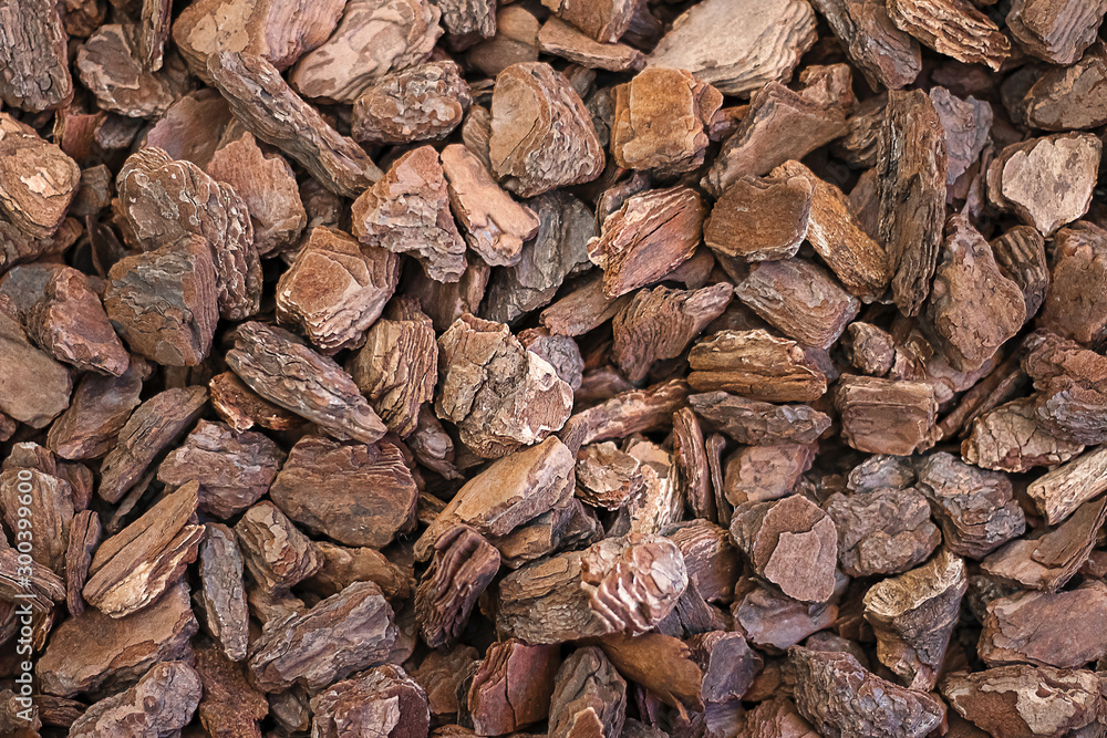 Shredded texture pieces of natural tree bark close-up. Chopped eco wood chips for decorative design Shredded texture pieces of natural tree bark close-up. Chopped eco wood chips for decorative design