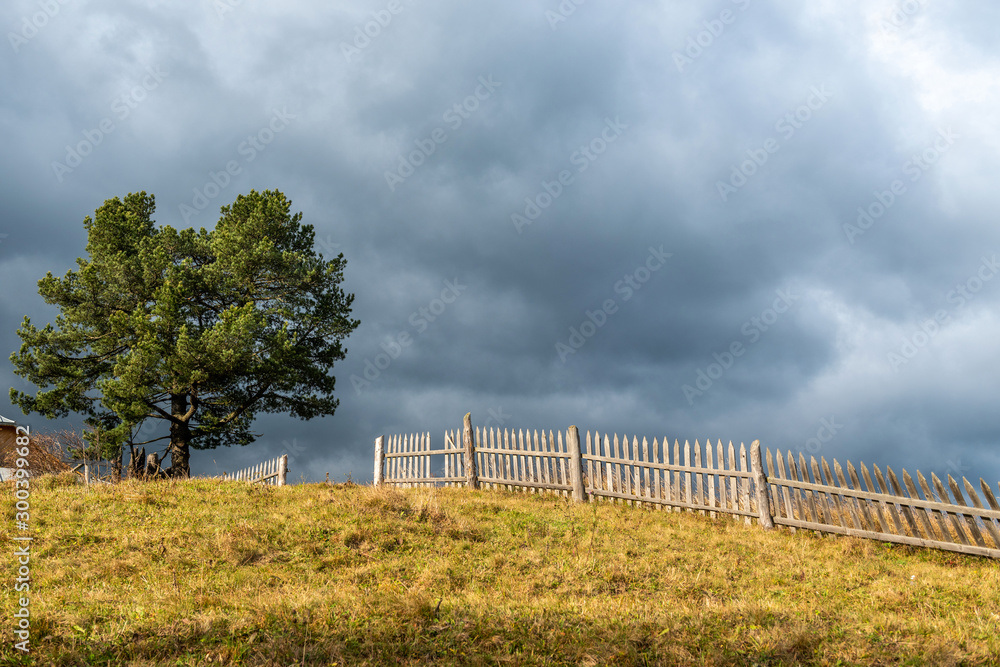 Landscape with lonely tree and dark stormy sky
