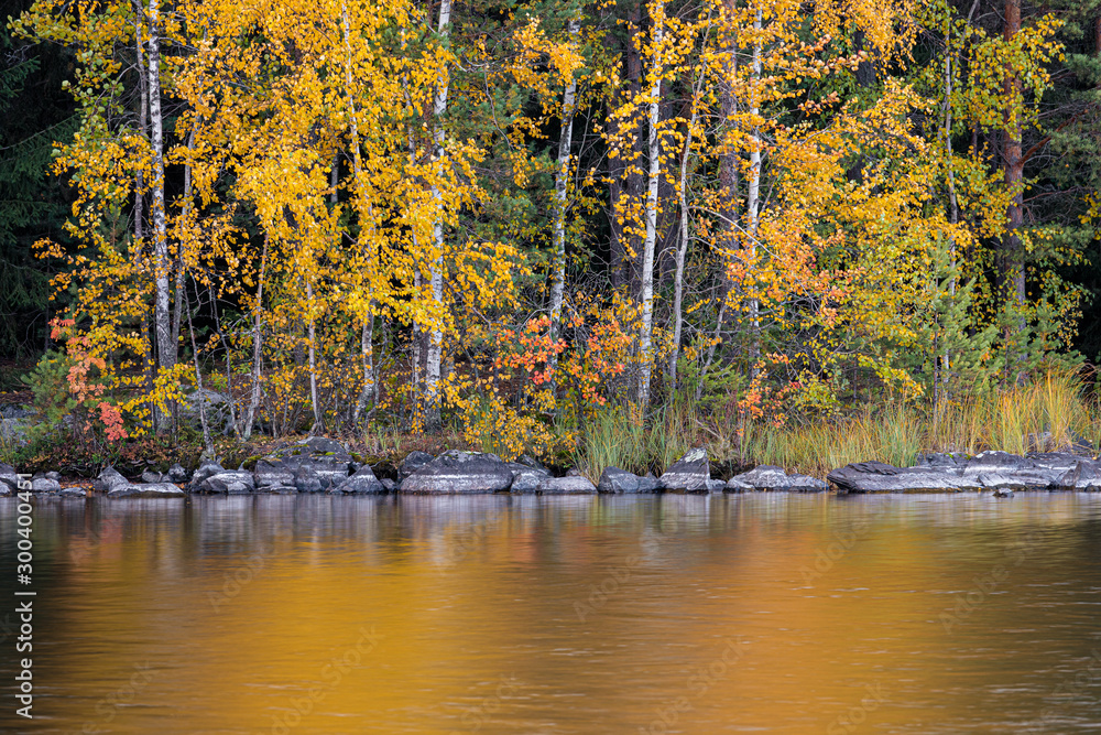 Serene autumn landscape at forest lake Serene autumn landscape at forest lake