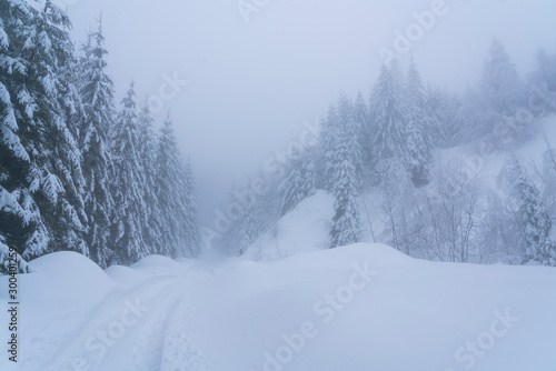 Picturesque winter landscape in the mountains