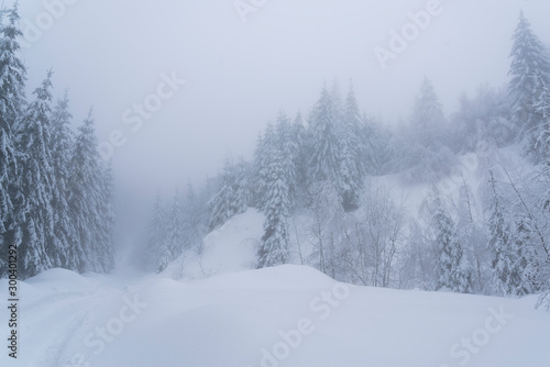 Picturesque winter landscape in the mountains