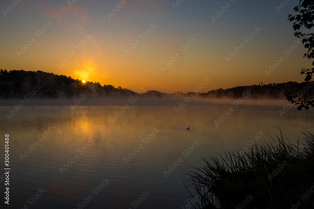 Naklejka premium Morgennebel Sonnenaufgang am Untreusee