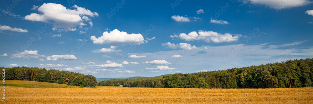 Sommerhimmel mit Feld und Wald Banner