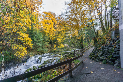 Tumwater Falls Park Scene