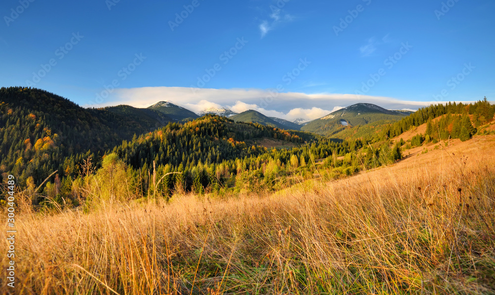 Amazing mountain landscape with colorful trees and herbs. Autumn sunny morning. Carpathian, Ukraine, Europe