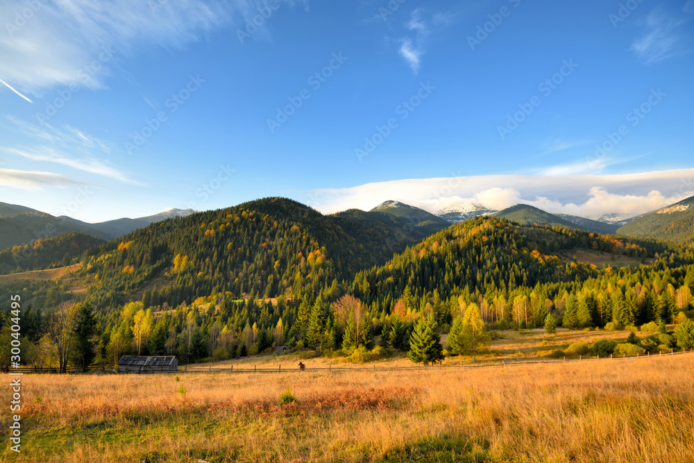 Amazing mountain landscape with colorful trees and herbs. Autumn sunny morning. Carpathian, Ukraine, Europe Amazing mountain landscape with colorful trees and herbs. Autumn sunny morning. Carpathian, Ukraine, Europe